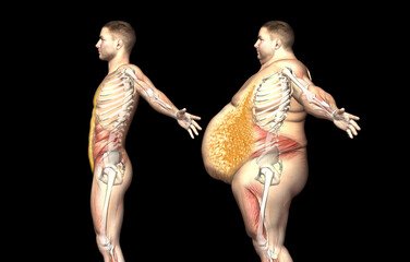 How to Get Rid of Belly Fat Fast